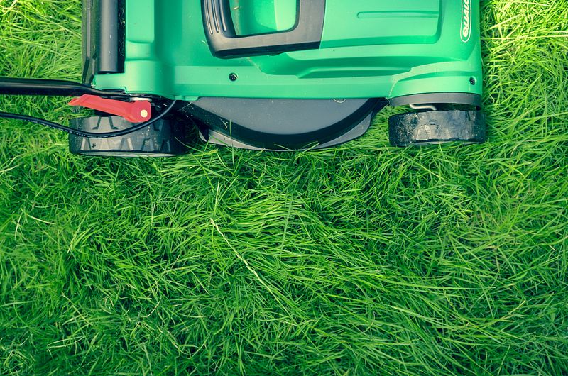 Trugreen Lawn Care Jacksonville Reviews: The Ultimate Guide to Achieving a Perfectly Manicured Yard