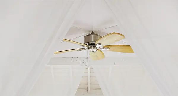 Ceiling Fan Direction In Summer And Winter