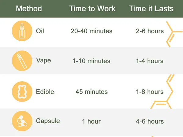 Easy CBD Oil Dosage Calculator For Dogs [Simple Instructions]